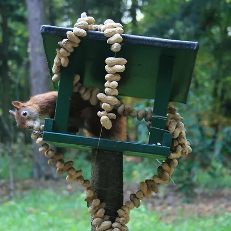 Semesterpark Bospark De Eendracht Voorthuizen