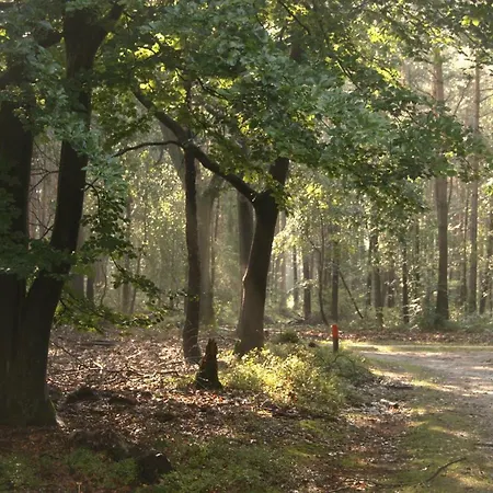 Bospark De Eendracht Semesterpark *