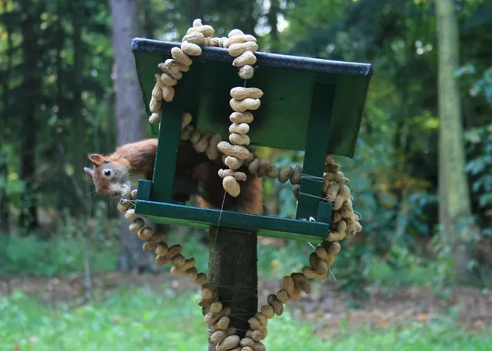 Semesterpark Bospark De Eendracht Voorthuizen