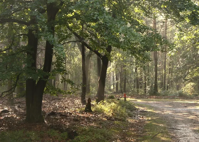 Bospark De Eendracht Semesterpark *